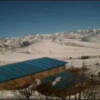 کارگر ماهر برای مرغداری