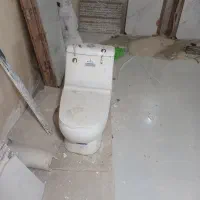 تولت فرنگی GolsaR