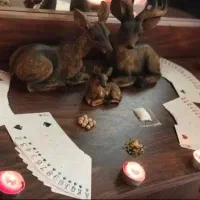 انواع فال|خدمات پذیرایی، مراسم|دورود, |دیوار