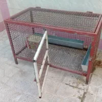 قفس|لوازم جانبی حیوانات|مرودشت, تامین اجتماعی|دیوار