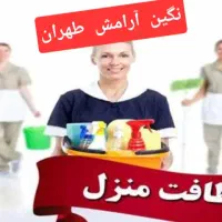 شرکت خدماتی و نظافتی نگین آرامش طهران تضمینی
