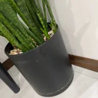 گلدان های فایبر گلاس