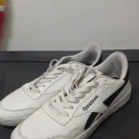 کفش|کیف، کفش، کمربند|فردوس (خراسان), |دیوار