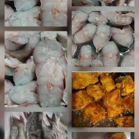 ماهی قزل تازه زنده