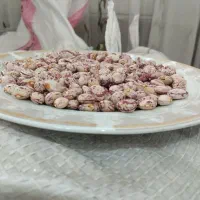 لوبیا چیتی گرد