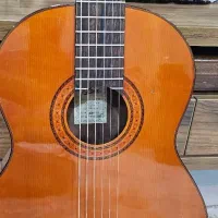 گیتار آریا ak80