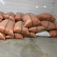 جو و کاه سفیدویونجه|خدمات باغبانی و درختکاری|مرودشت, تخت جمشید|دیوار