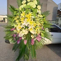 گل ویژه مراسمات .جشنها .همایشات و مراسم ترحیم|گل و گیاه طبیعی|تهران, نمایشگاه بین المللی|دیوار