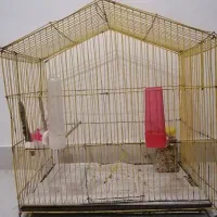 قفس پرنده و کوله ای حمل حیوانات