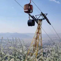 4 عدد بلیط ایستگاه 7 توچال - رفت و برگشت