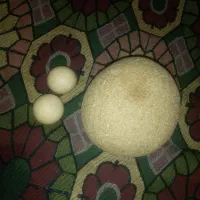 شهاب سنگ واسیاب|جواهرات|اردبیل, |دیوار