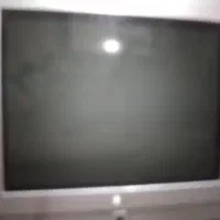 تلویزیون