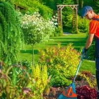 استخدام نگهبان و باغبان