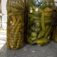 خیارشور تازه