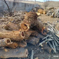 باغبانی و درخت کاری|خدمات باغبانی و درختکاری|زنجان, |دیوار