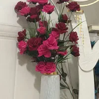 گل رز مخمل جیر