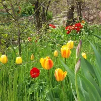 فشم-و-میگون-ویلای-دوبلکس