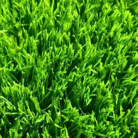 چمن مصنوعی فوتبالی ۵۰ متر
