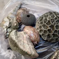 فروش وسایل اکواریوم