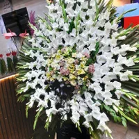 گلفروشی پاراگل|گل و گیاه طبیعی|اهواز, پادادشهر|دیوار