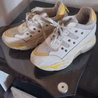 کفش|کیف، کفش، کمربند|محمدشهر, همایون ویلا|دیوار