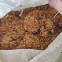 کشمش ابگیری|خوردنی و آشامیدنی|تبریز, |دیوار