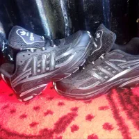 کفش نو|کیف، کفش، کمربند|مرودشت, کناره|دیوار