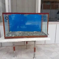 اکواریوم همراه باوسایل