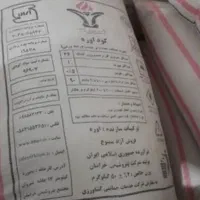 کود سفید ریز