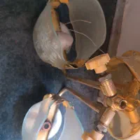 چراغ گازی|لامپ و چراغ|شوشتر, |دیوار