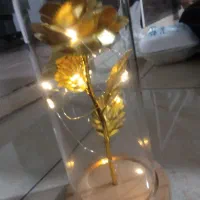 گل طلایی