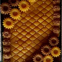 حلوا حلوای مجلسی