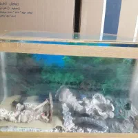 آکواریوم|ماهی|خرم‌آباد, |دیوار