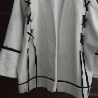 کت لنین