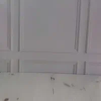 بکدراپ مخصوص عکاسی|دوربین عکاسی و فیلمبرداری|دزفول, |دیوار