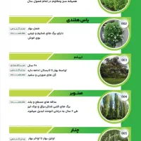 نهالستان جهان سبز|گل و گیاه طبیعی|خرم‌آباد, |دیوار