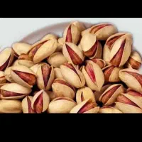 خر ی د ضایعات پسته وپو ک شکن