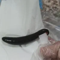 زالودرمانی / حجامت/ بادکش درمانگرآقاوخانم باسابقه|خدمات آرایشگری و زیبایی|مشهد, امام رضا (ع)|دیوار