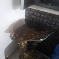 شیشه میز عسلی