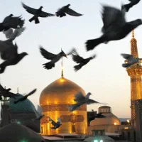 تورلحظه آخری وارزان قیمت مشهدحرکت(26و29مردادماه)