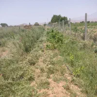 باغ 1000متری سند دار با سهمیه آب|فروش زمین و ملک کلنگی|دشتابی, |دیوار