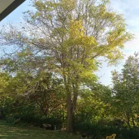 ویلا.فروشی.۱۴۰۰متر.دهکده|فروش خانه و ویلا|فردیس, دهکده|دیوار