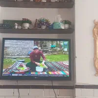 ال ایدی الجیشی بسیار سالم در حد