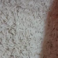 ۲گونی برنج هاشمی کارخونه