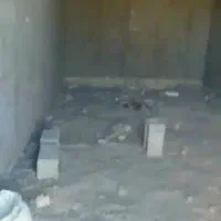 لاستر کار سالمی