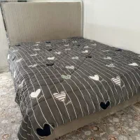 سرویس خواب|تخت و سرویس خواب|کاشمر, |دیوار