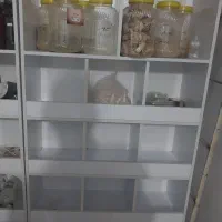 قفسه و میز|کتابخانه، شلف، قفسه‌های دیواری|سبزوار, هویزه|دیوار