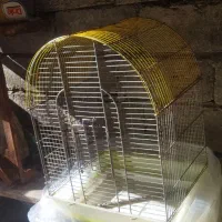 قفس پرنده سایز بزرگ