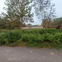 زمین 250 متری کاملا مسکونی|فروش زمین و ملک کلنگی|طاهرگوراب, |دیوار