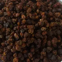 آلوچه و آلبالو|خوردنی و آشامیدنی|مشهد, کارمندان دوم|دیوار